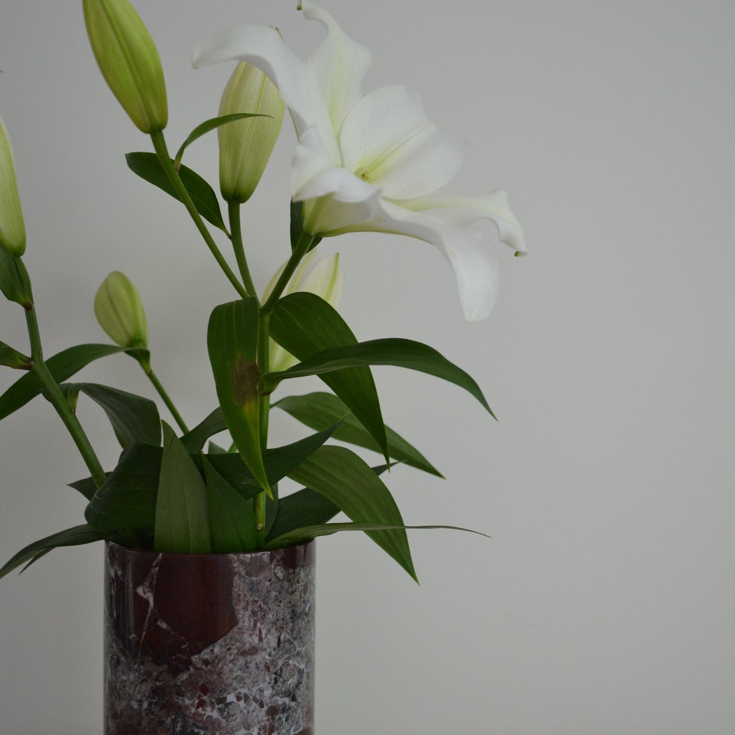 Bloom Vase • Rosso